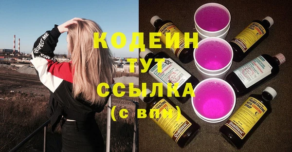 прущий лед Вязьма