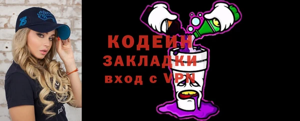 амф Вяземский
