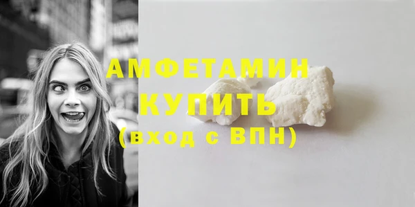 амф Вяземский