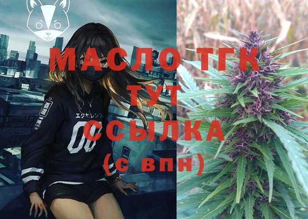амф Вяземский