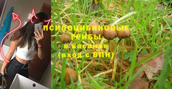 амф Вяземский