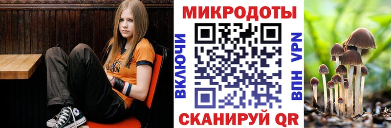 купить наркоту  Кызыл  Галлюциногенные грибы MAGIC MUSHROOMS 
