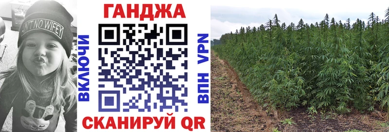 Бошки марихуана тримм MEGA рабочий сайт Кызыл